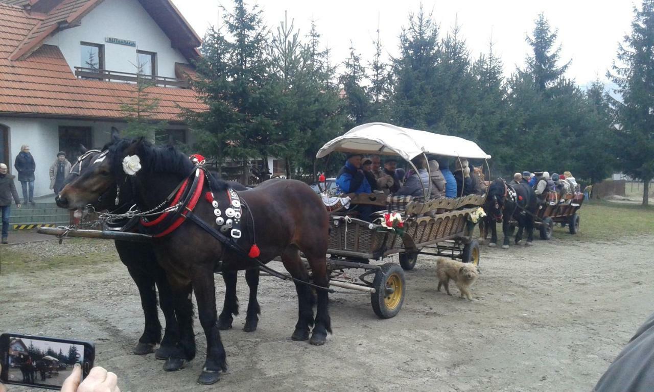 Pokoje U Pitera Sromowce Wyzne Εξωτερικό φωτογραφία